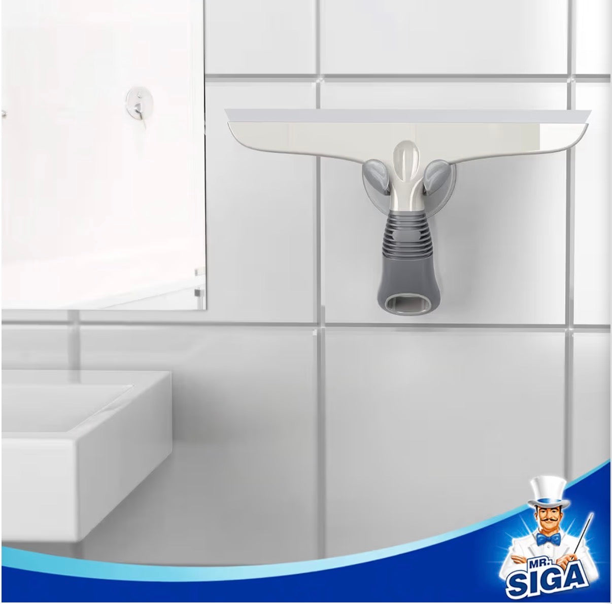 Shower Squeegee & Mold-removal Kits