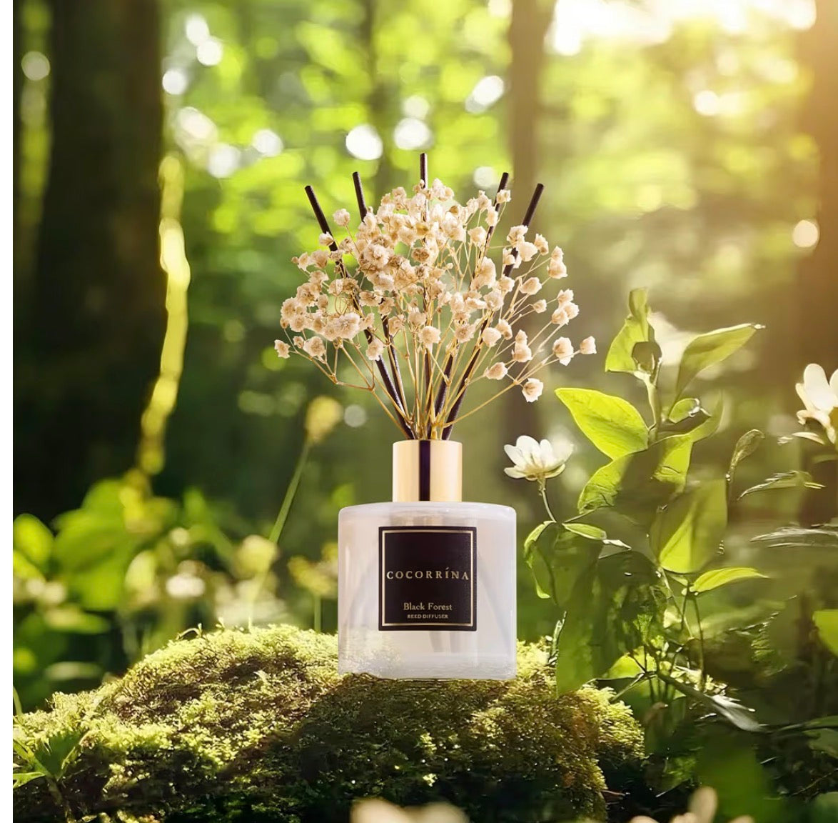 Scented Candle / Reed Diffuser Sets